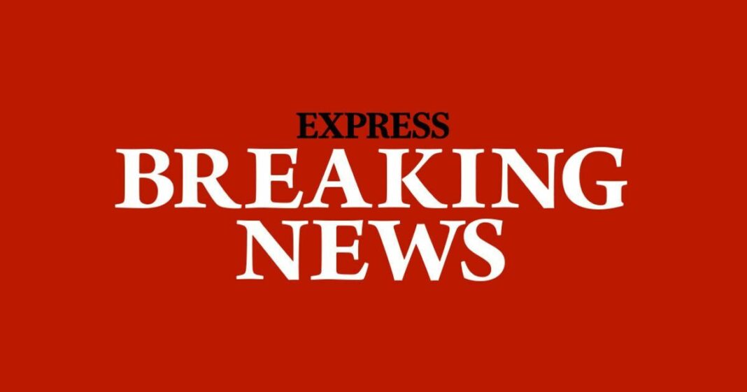 Elizabeth Kelly dead: Beloved EastEnders icon dies after four-decade career