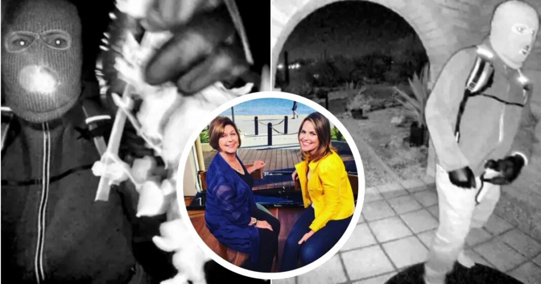 FBI Releases Surveillance Images of 'Armed' Individual Who May Have Kidnapped Nancy Guthrie - InTouch Weekly