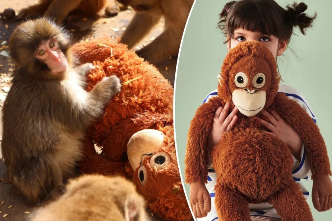 Fans of viral monkey Punch sell out $20 IKEA soft toy — with eBay listings soaring as high as $350