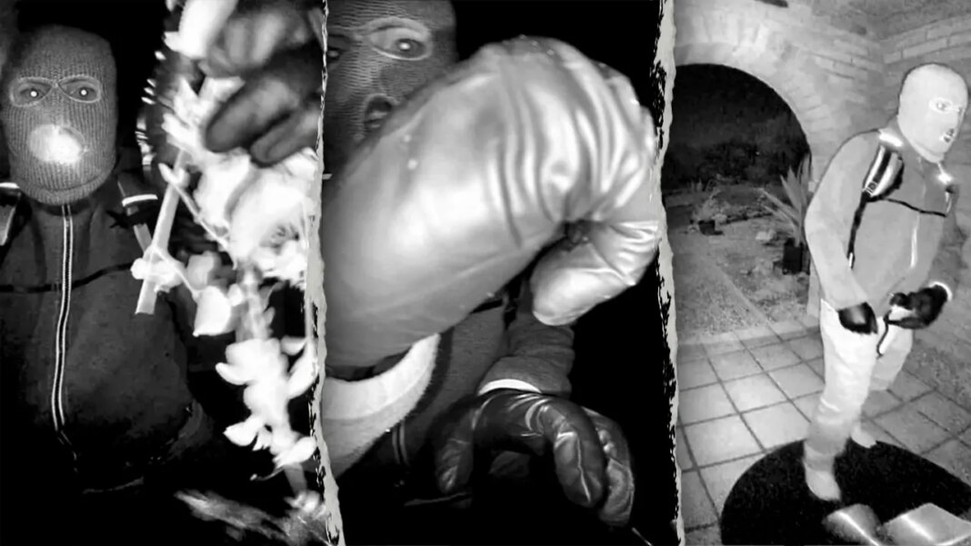 Former FBI agent calls holster setup in Nancy Guthrie case 'incredibly amateur and unsafe'