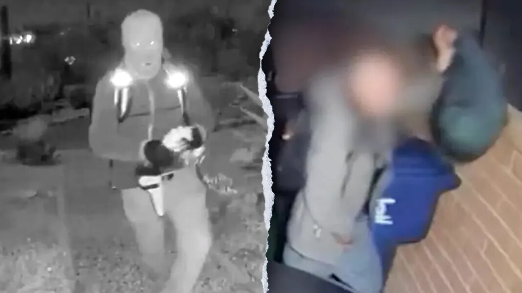 Former FBI agent urges caution as surveillance video of man in Guthrie area circulates web