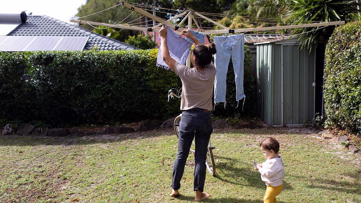 Future of Aussie icon Hills Hoist in doubt after owner lists sale