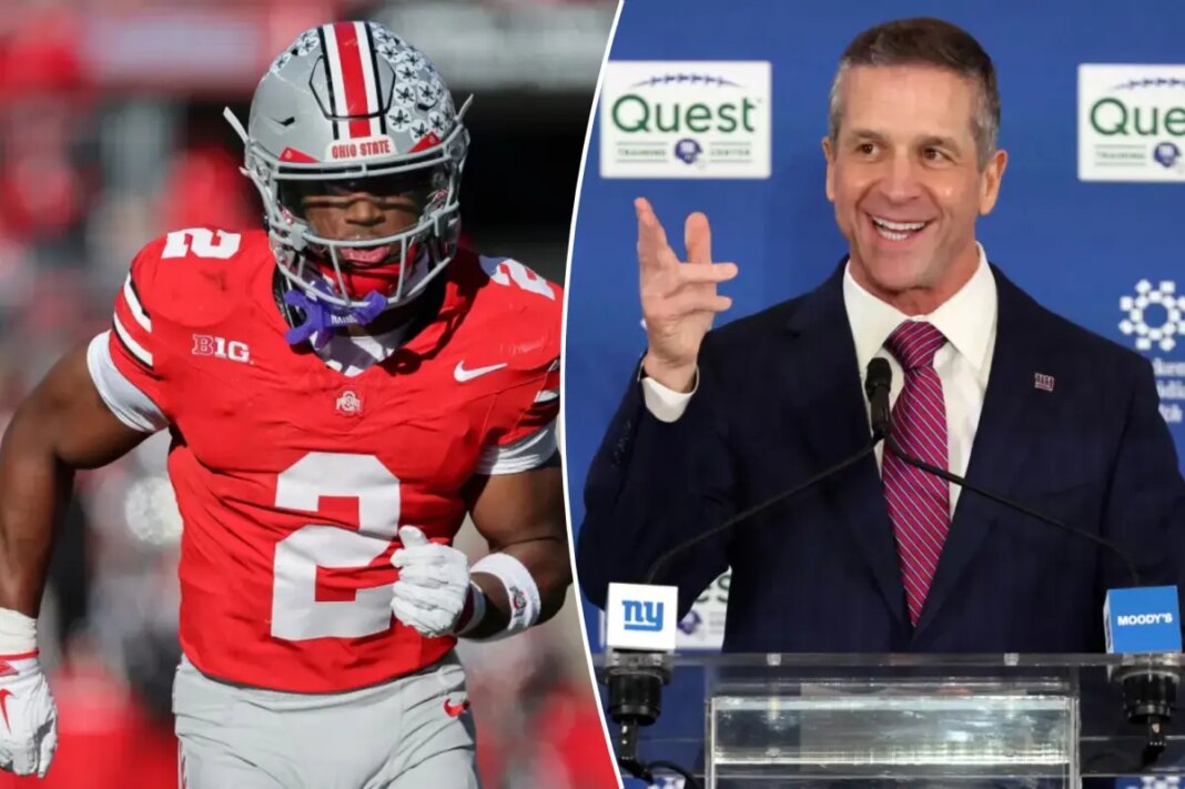 Giants' Jim Harbaugh has high praise for Ohio State safety