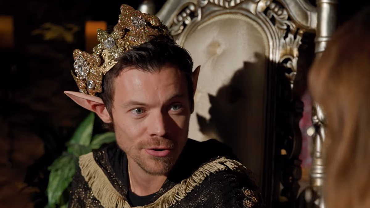 Harry Styles Debunks Hair Transplant Rumors and Reveals Why He’s on Exclusive Dating App Raya