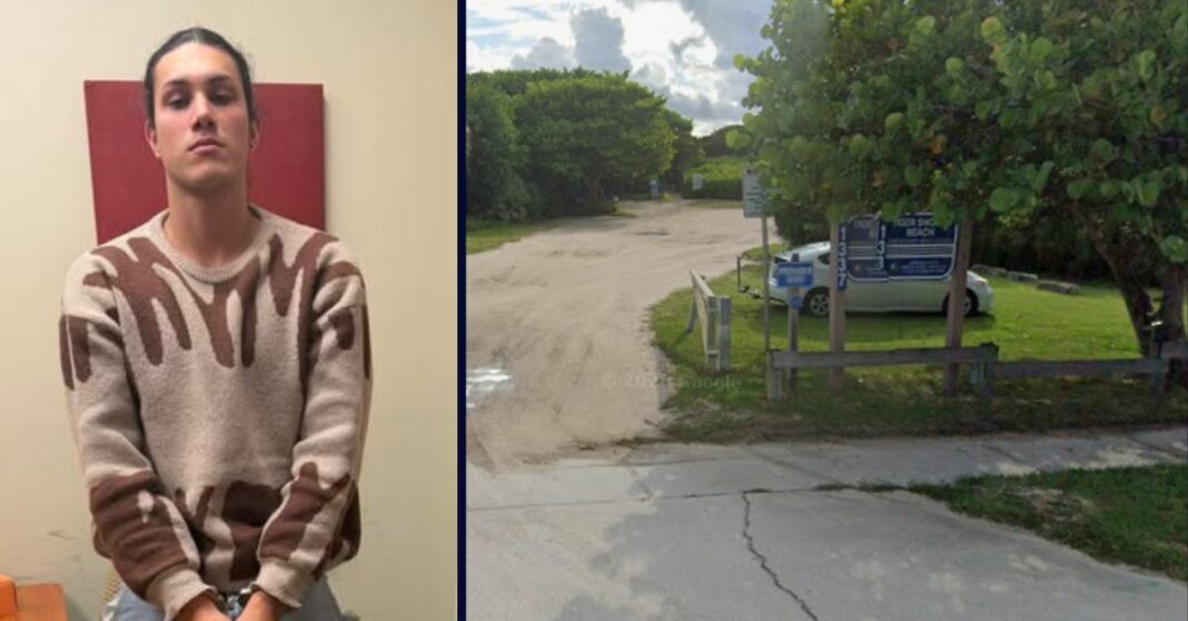 'I don't feel nothing': Man randomly attacks woman on beach, holds her head underwater until he thought she was dead, cops say