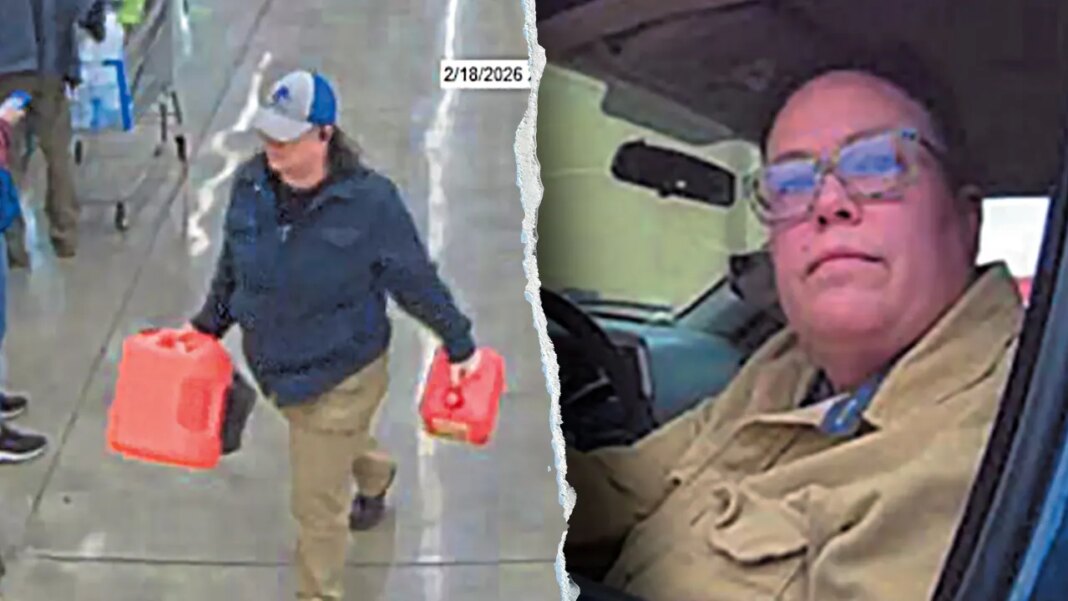 Idaho woman accused of attempting to set fire to DHS building with stolen ambulance