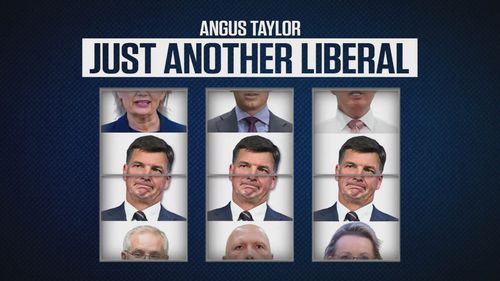 Labor releases attack ad on Angus Taylor before ink is dry