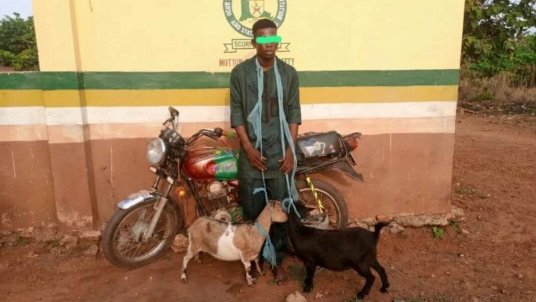 Man arrested during the naming ceremony of his child in Ogun church for stealing three goats