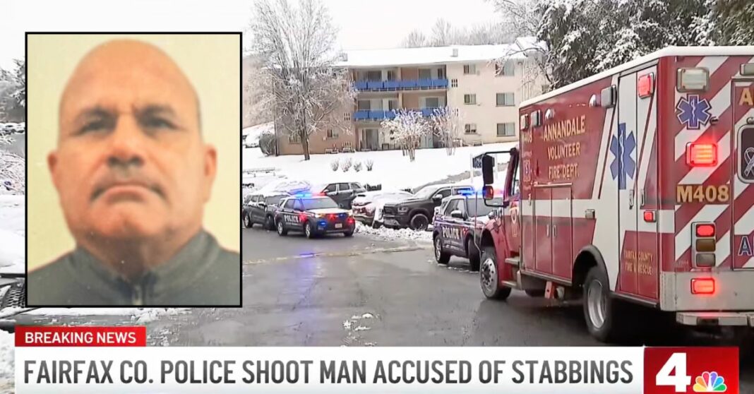 Man clearing snow off his car goes back inside home to find wife and mother-in-law being stabbed with meat cleaver before granddad turns the blade on him: Cops