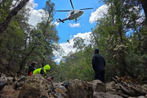 A man has been found alive after surviving almost four days without any food, water or supplies in rugged bushland in Tasmania. 