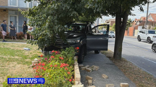 The ute crashed into a brick fence just metres from where Wendy Aubrey was gardening.