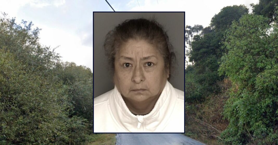 Mom 'dressed' newborn before abandoning him outside in grocery bag to die