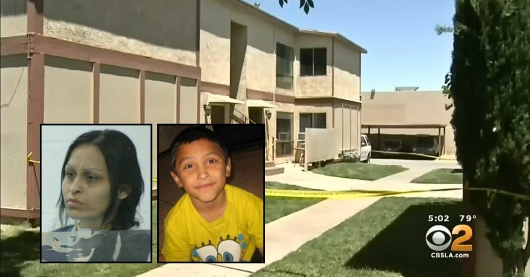Mom who kept her 8-year-old son in wooden box while torturing him with boyfriend says she was 'coerced' into pleading guilty