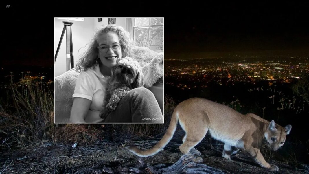 Mountain lion snatches dog right in front of owner in California