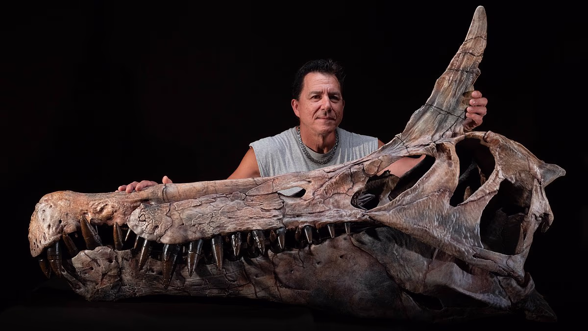 Mysterious 'dragon' species discovered in Sahara Desert