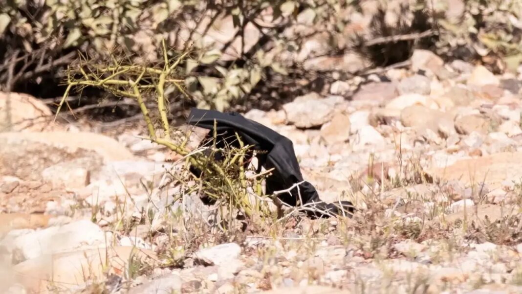 Nancy Guthrie case investigators find black glove near roadside