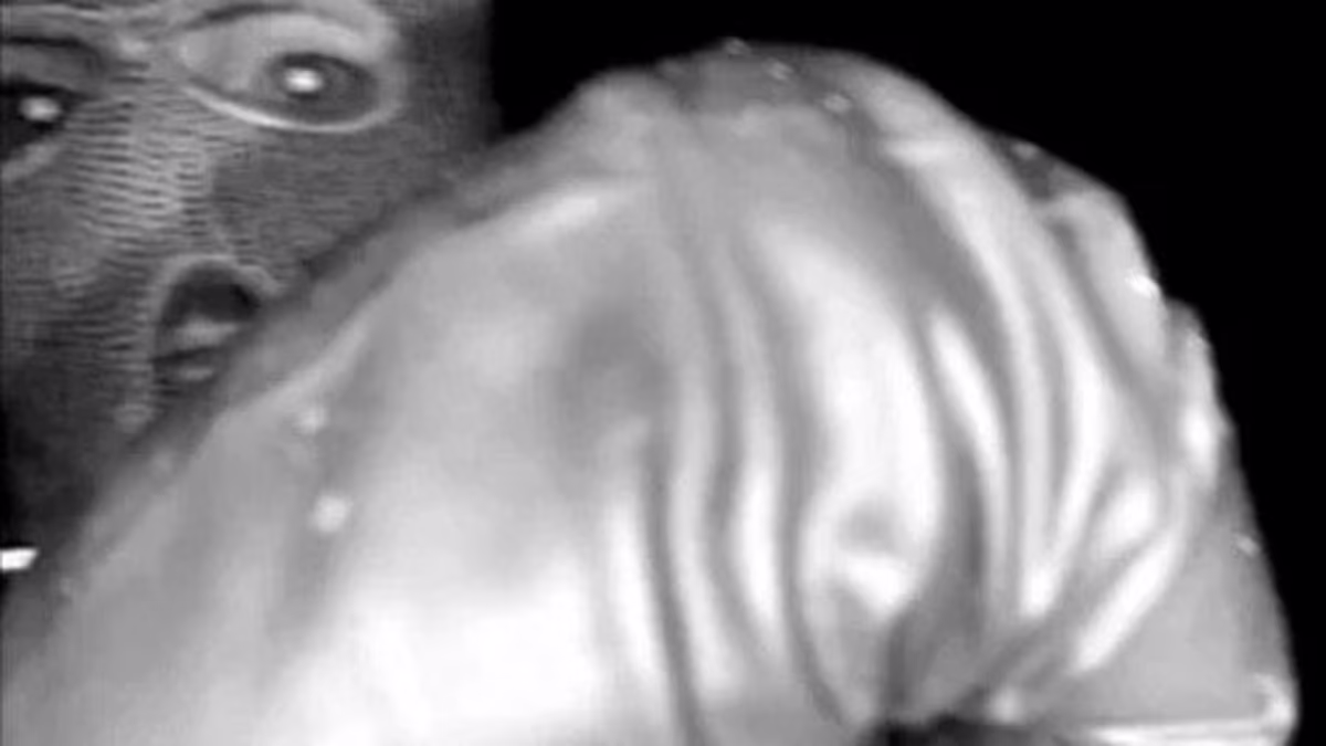 Nancy Guthrie investigators find black glove near her home