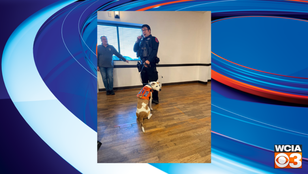 New organization raising money for service dogs’ medical bills in Savoy