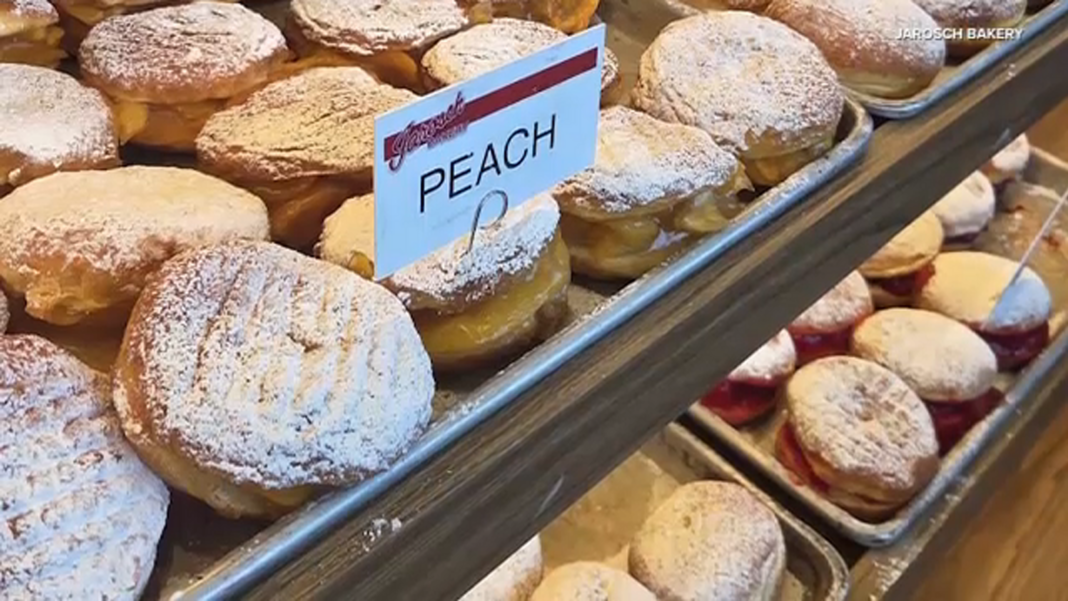 Paczki Day 2026: Chicago-are bakeries ready for crowds to grab Fat Tuesday treats ahead of Lent, Ash Wednesday