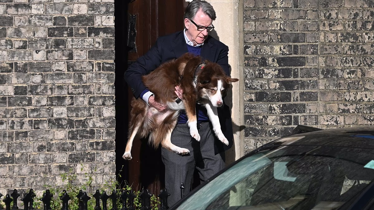 Peter Mandelson breaks cover for first time since Epstein scandal