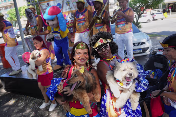 Rio Carnival street party dogs parade as humans protest against pet killers