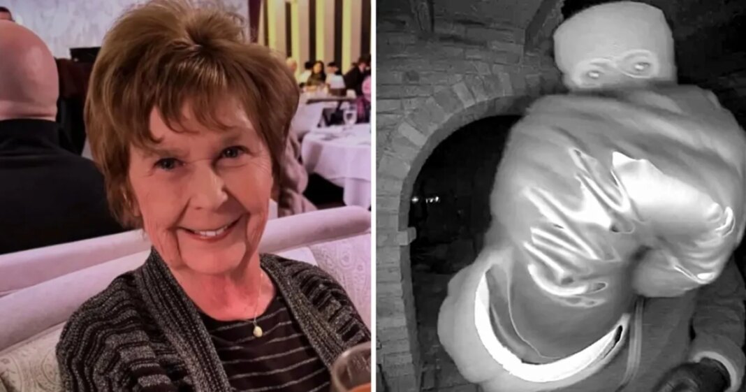 Sheriff Reveals Potential New Clue In Hunt for Nancy Guthrie’s Alleged Kidnapper - InTouch Weekly