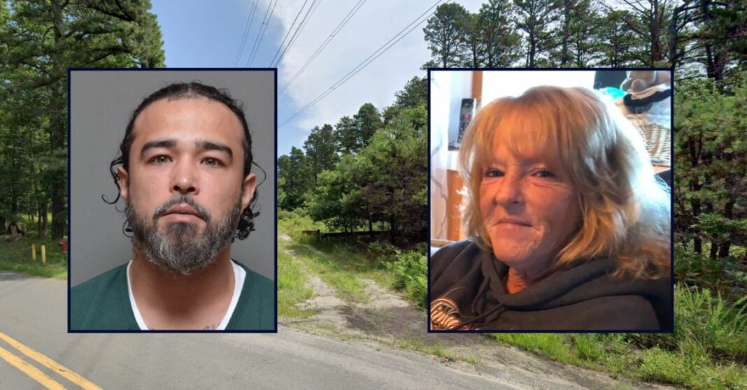 Son stabbed mother to death and then left her body in the woods, police say