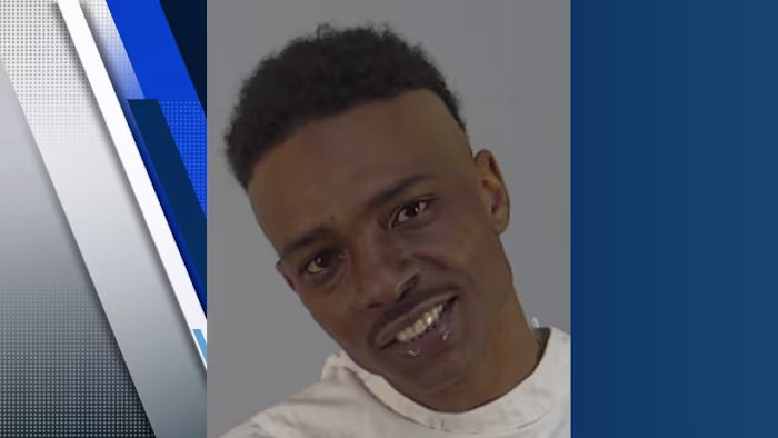 Stabbing at Eustis park prompts police chief to raise concerns about homelessness