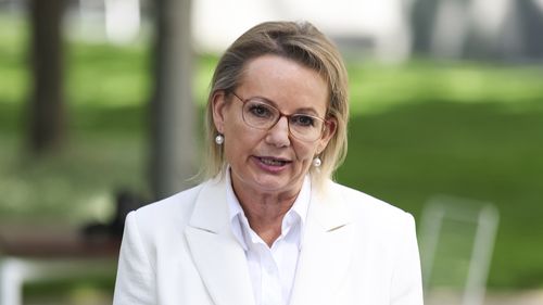 Sussan Ley addresses the media following a Liberal party meeting at Parliament House in Canberra on Friday 13 February 2026. fedpol Photo: Alex Ellinghausen
