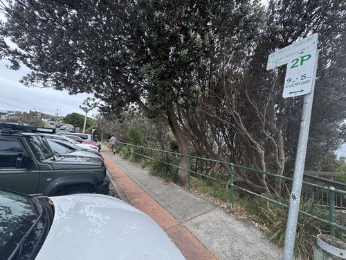 These were the only signs in the immediate vicinty of where Karina parked rear-to-kerb along Narrabeen Park Parade in Sydney's Northern Beaches.