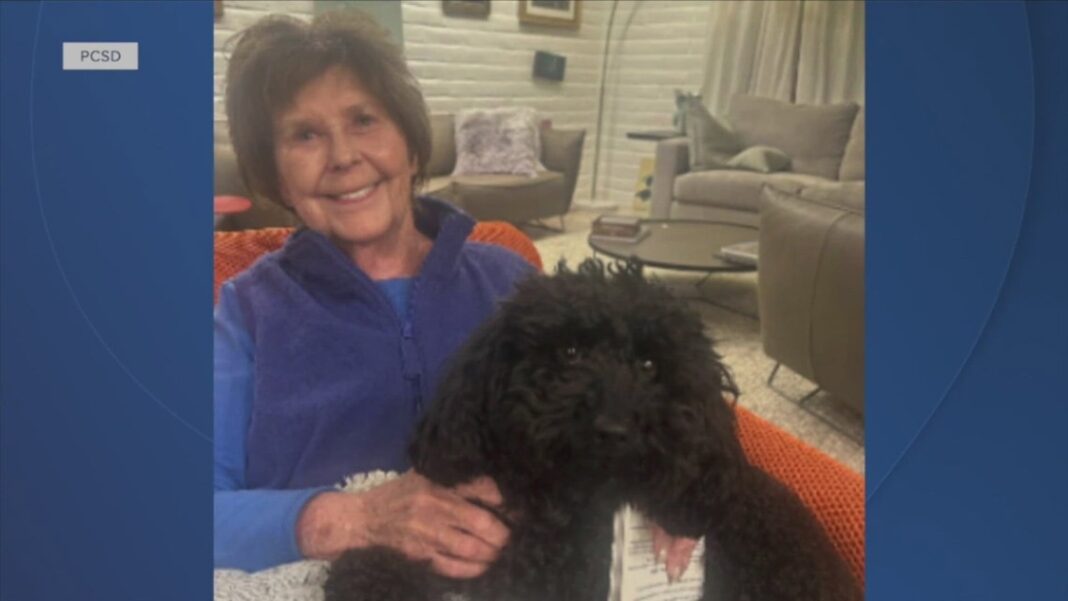 'TODAY' host Savannah Guthrie gives statement on missing 84-year-old mother as sheriff says her house is a 'crime scene'