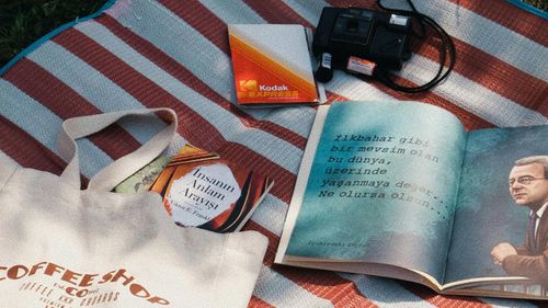 Stock image of a canvas tote bag, novels, and a digital camera on a striped picnic rug.
