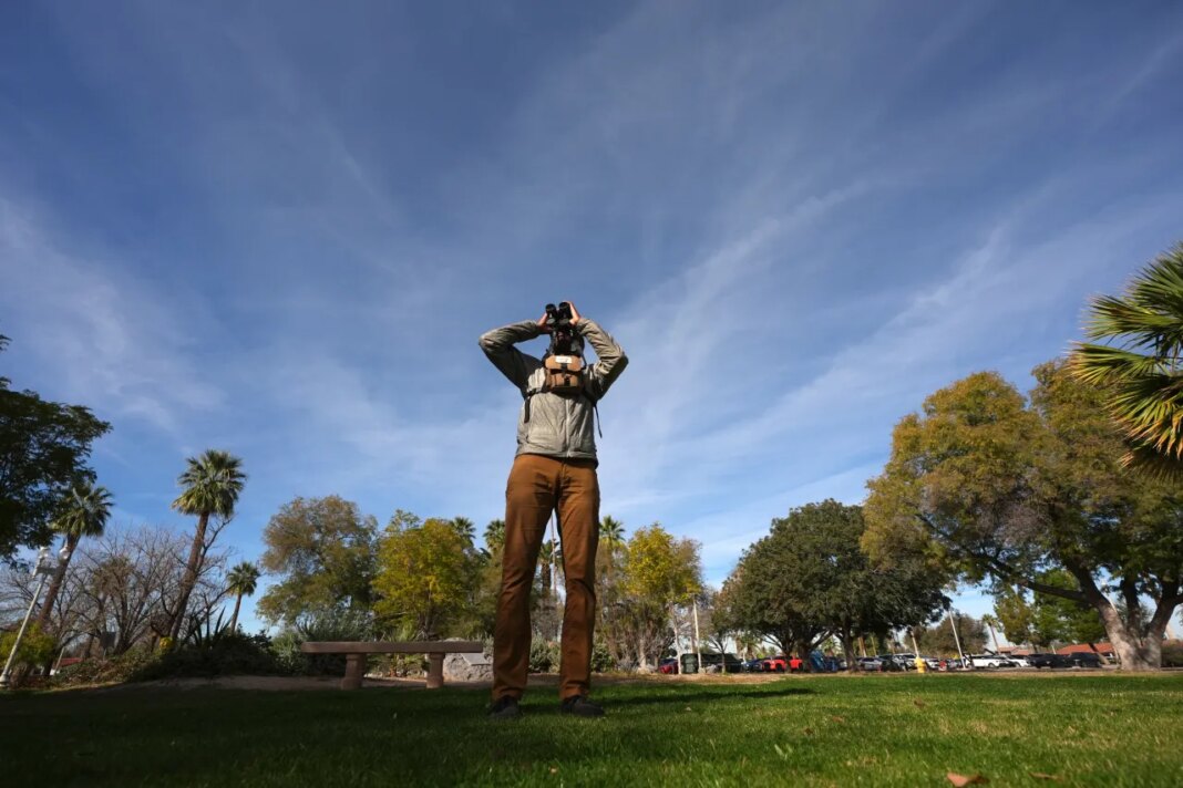 Robert Carter, of the Maricopa Bird Alliance, looks through binoculars for love birds in Encanto Park, Jan. 18, 2026, in Phoenix. (AP Photo/Ross D. Franklin)