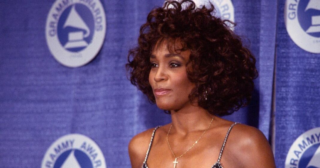 Whitney Houston's shocking autopsy from scars and 'furry arteries' to sewn-on wig