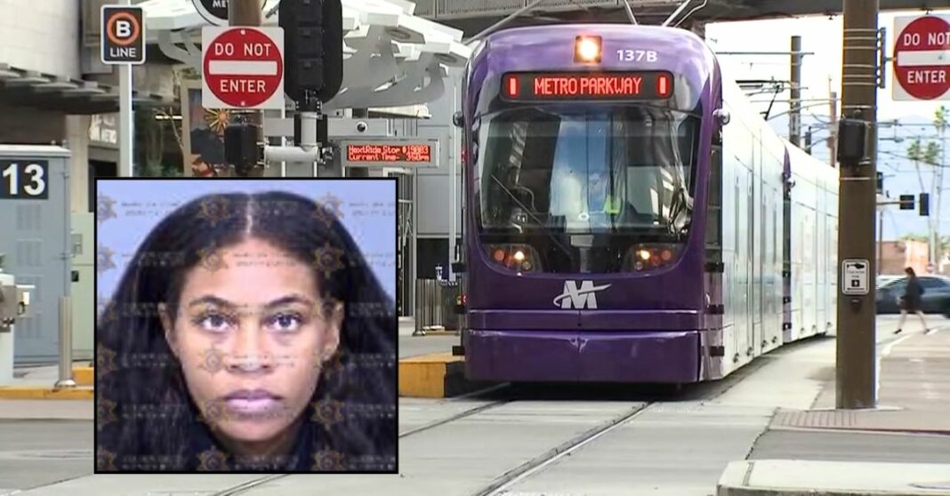 Woman had 'no other choice' but to stab train rider 14 times with 'steak knife' after the victim started a fight with her and people aboard were 'just watching': Lawyer