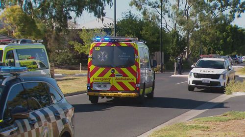 Emergency services were called to Moseley Street at Mansfield Park in Adelaide's north-west at 9.30am today after a neighbour heard her screams and called Triple Zero.