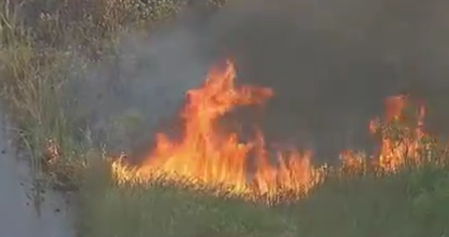‘The worst I’ve seen yet’: Tampa Bay fire officials speak on historic drought season