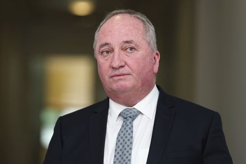 Member for New England Barnaby Joyce during a doorstop interview in the press gallery at Parliament House in Canberra on Tuesday 10 February 2026. fedpol Photo: Alex Ellinghausen