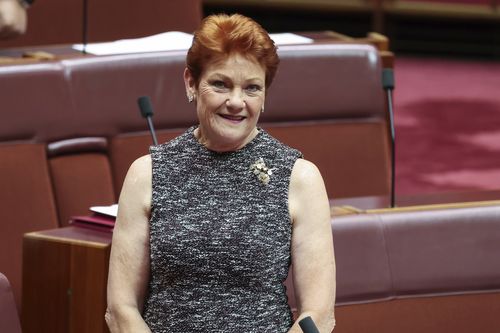 One Nation leader Senator Pauline Hanson in the Senate at Parliament House in Canberra on Monday 23 March 2026. fedpol Photo: Alex Ellinghausen