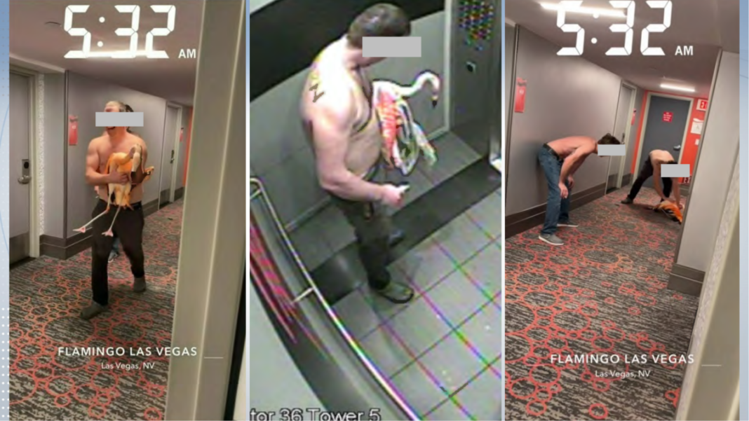 Canadian tourist must remain in Las Vegas after alleged flamingo abuse