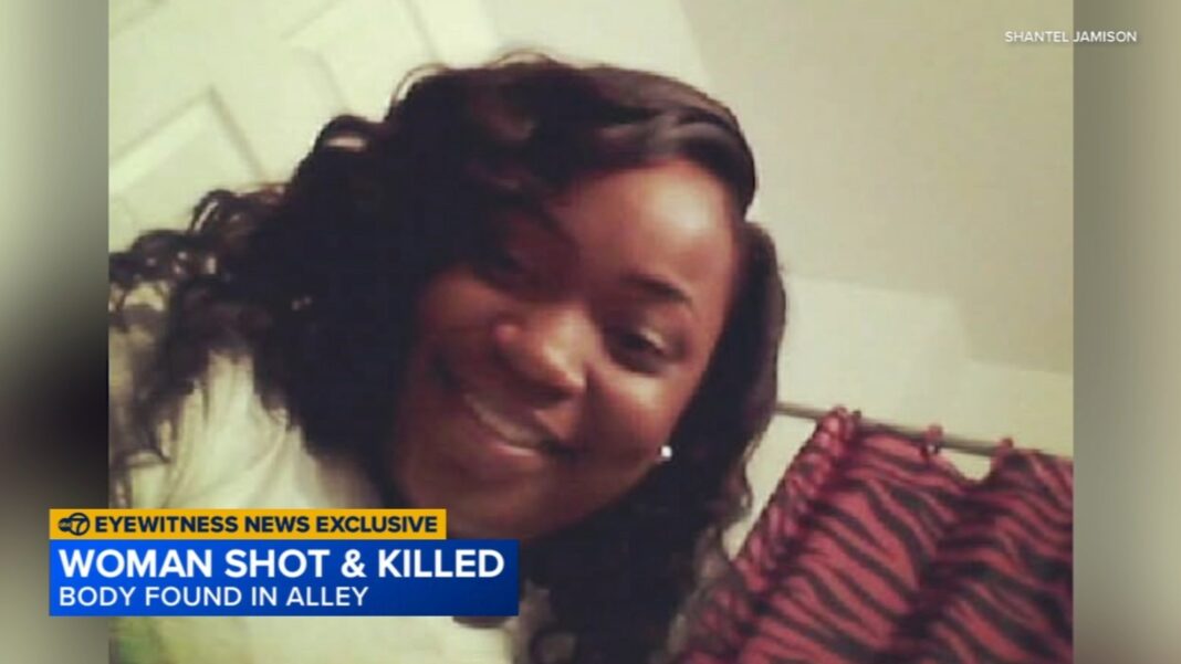 Chicago shooting: Family seeks justice after Brandy Fleming found shot, killed in alley behind her home in West Garfield Park