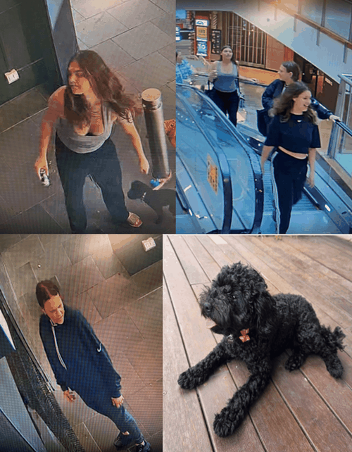 Police have released images of the women they would like to speak to, as well as a photo of Dora in the event anyone recognises her.