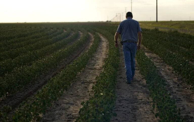 DeSantis Approves New Farm Bill Amidst ‘Rural Renaissance’ Setback