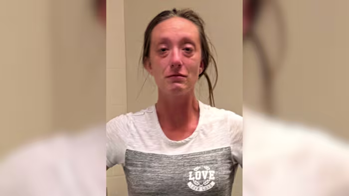 Deadly driver caught after hitting 2 small children and fleeing, Polk sheriff says