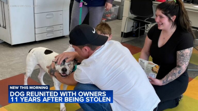 Stolen Dog Reunites with Philadelphia Family After 11-Year Separation
