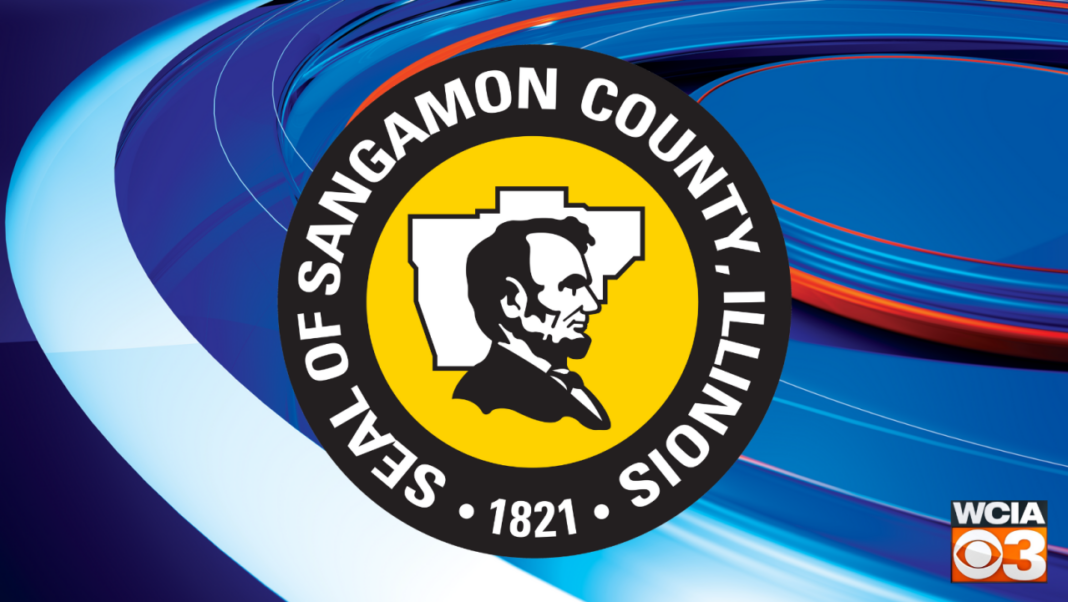 Dogs rescued from Springfield dog fighting case now available for foster care