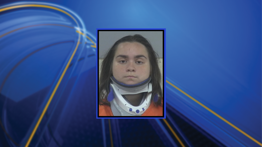 Driver involved in crash that killed Beaufort mother charged with DUI