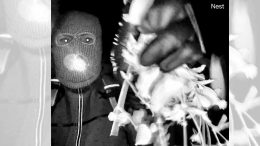 FBI probes possible internet outage in Nancy Guthrie case