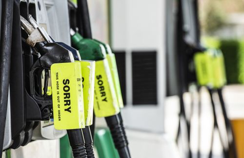 Petrol prices showing BP petrol station in Clovelly 16th March 2026 SMH Photo: STEVEN SIEWERT