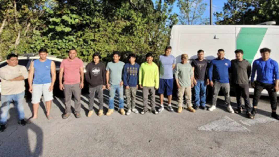Florida, feds arrest 15 illegal immigrants with criminal records in ‘targeted’ operation
